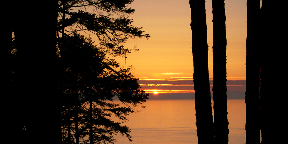 Sunset over the Pacific viewed through the trees